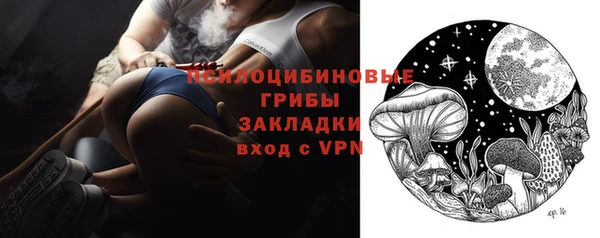 ГАЛЛЮЦИНОГЕННЫЕ ГРИБЫ Новодвинск