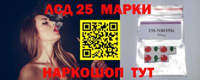стаф Гатчина