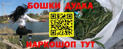 стаф Гатчина