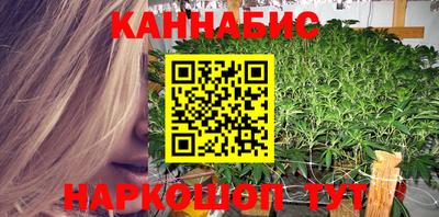 стаф Гатчина