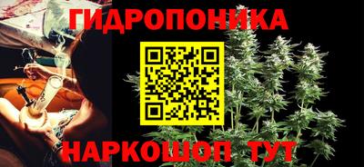 стаф Гатчина
