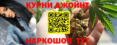 стаф Гатчина