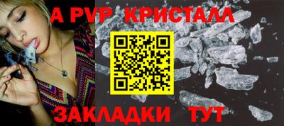 стаф Гатчина