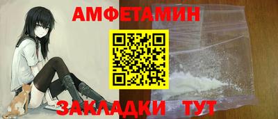 стаф Гатчина