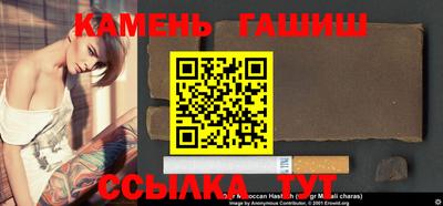 стаф Гатчина