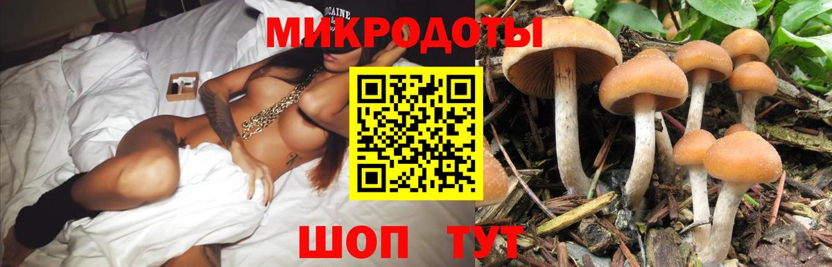 Псилоцибиновые грибы ЛСД Луховицы