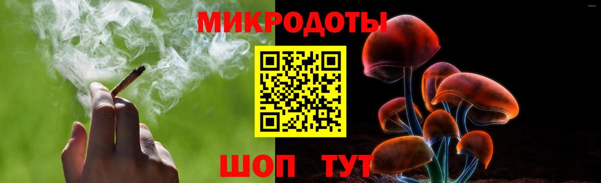 Псилоцибиновые грибы Psilocybe Луховицы